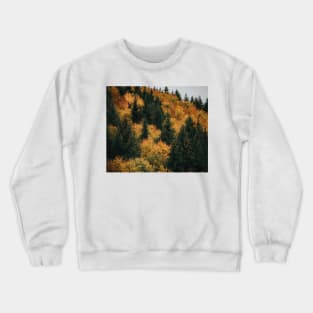 relaxing your eyes Crewneck Sweatshirt